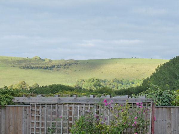 The Willows Shillingstone Exterior foto